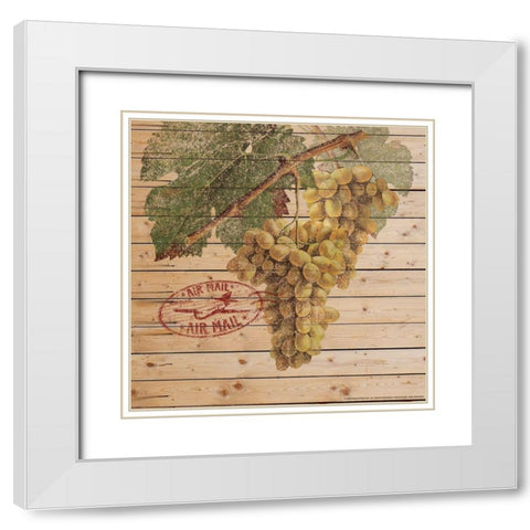 Grapes B White Modern Wood Framed Art Print with Double Matting by Nobleworks, Inc.