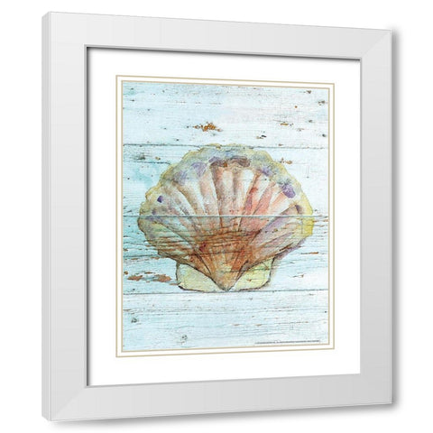 Seashell 1 White Modern Wood Framed Art Print with Double Matting by Nobleworks, Inc.