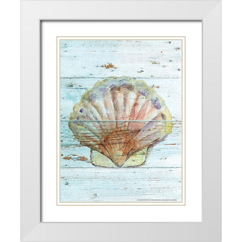 Seashell 1 White Modern Wood Framed Art Print with Double Matting by Nobleworks, Inc.