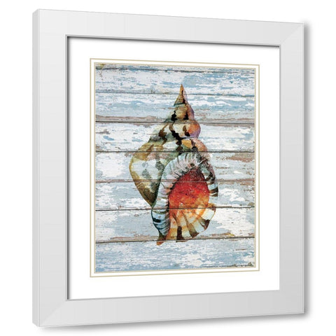 Seashell 2 White Modern Wood Framed Art Print with Double Matting by Nobleworks, Inc.