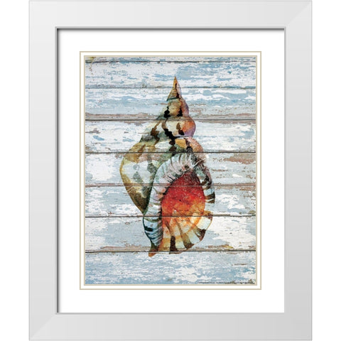 Seashell 2 White Modern Wood Framed Art Print with Double Matting by Nobleworks, Inc.