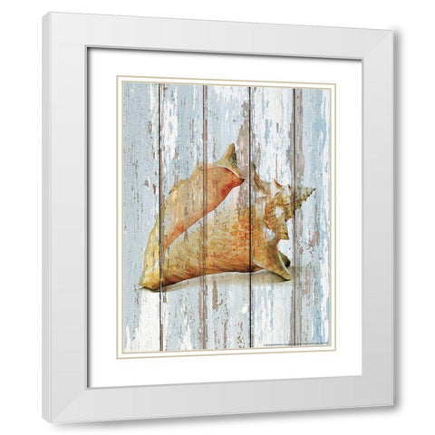 Seashell 3 White Modern Wood Framed Art Print with Double Matting by Nobleworks, Inc.