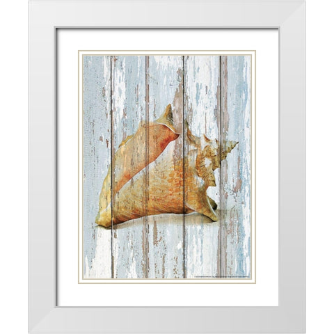 Seashell 3 White Modern Wood Framed Art Print with Double Matting by Nobleworks, Inc.