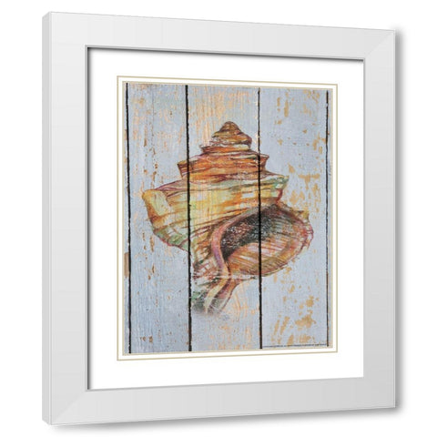 Seashell 4 White Modern Wood Framed Art Print with Double Matting by Nobleworks, Inc.