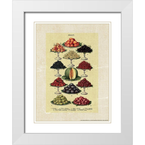 Beetons 1 White Modern Wood Framed Art Print with Double Matting by Nobleworks, Inc.