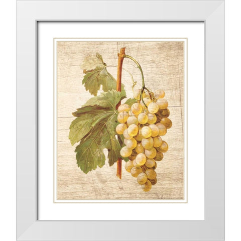 Grapevine 1 White Modern Wood Framed Art Print with Double Matting by Nobleworks, Inc.
