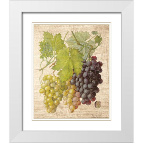 Grapevine 2 White Modern Wood Framed Art Print with Double Matting by Nobleworks, Inc.