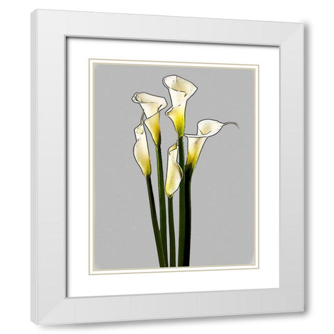 Calla  White Modern Wood Framed Art Print with Double Matting by Segal, Alan