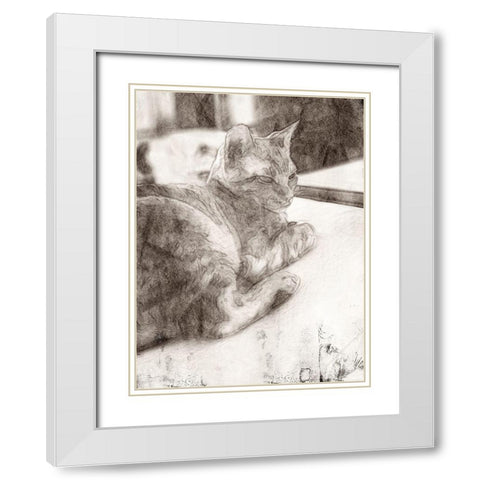 Warming Up White Modern Wood Framed Art Print with Double Matting by Segal, Alan