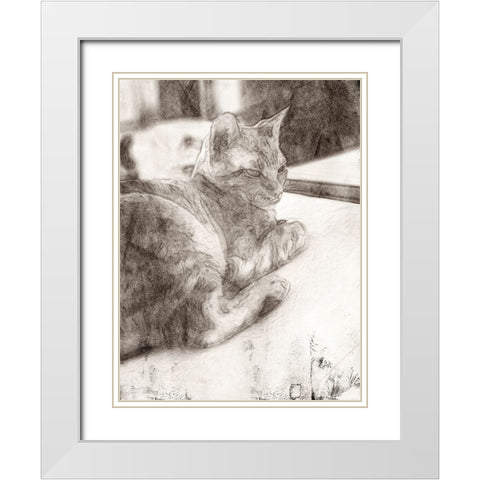 Warming Up White Modern Wood Framed Art Print with Double Matting by Segal, Alan