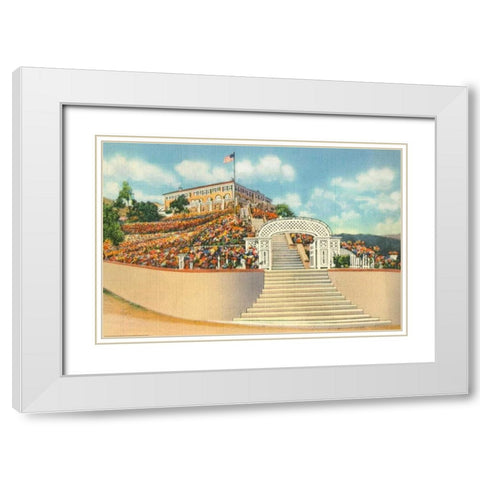 Catalina White Modern Wood Framed Art Print with Double Matting by Paul, Alan