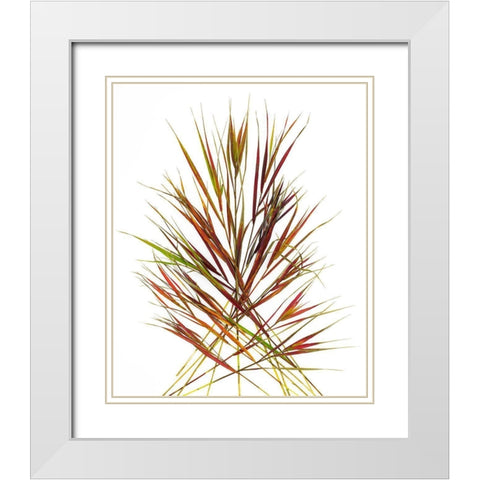 Japenese Grass White Modern Wood Framed Art Print with Double Matting by Rosenthal, Barry