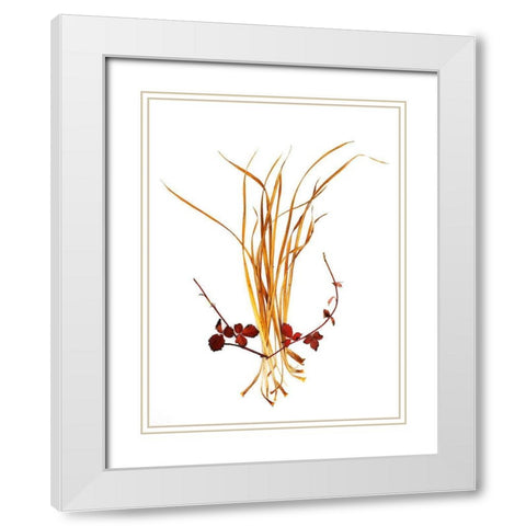 Straw And Rasberry White Modern Wood Framed Art Print with Double Matting by Rosenthal, Barry