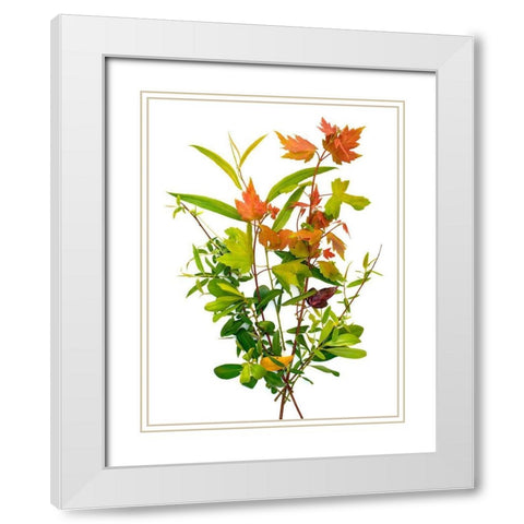 Maple White Modern Wood Framed Art Print with Double Matting by Rosenthal, Barry