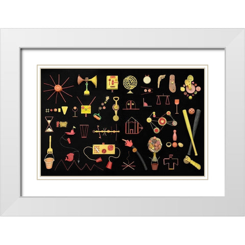 Sea Life White Modern Wood Framed Art Print with Double Matting by Rosenthal, Barry