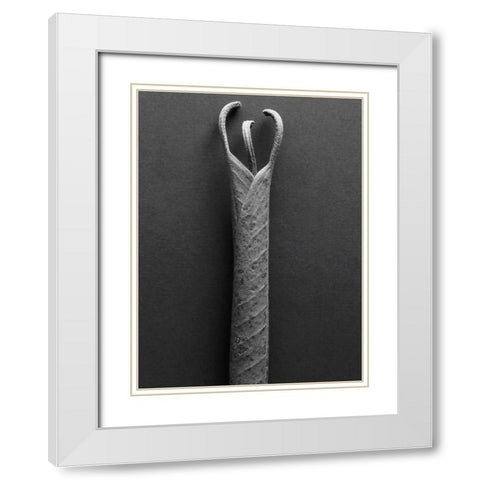 Mountain Leaves 2 White Modern Wood Framed Art Print with Double Matting by Rosenthal, Barry