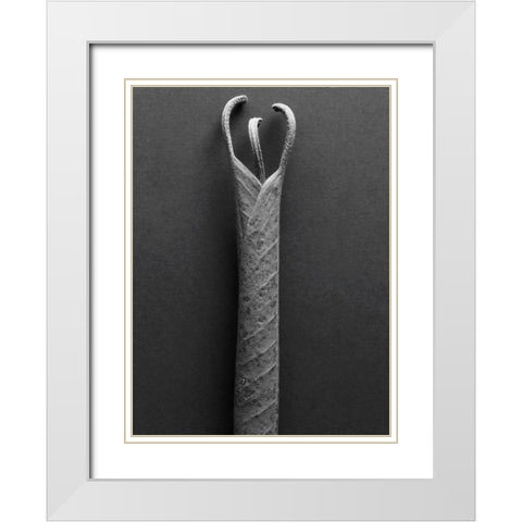 Mountain Leaves 2 White Modern Wood Framed Art Print with Double Matting by Rosenthal, Barry