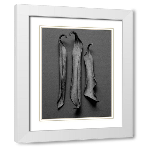 Mountain Leaves 1 White Modern Wood Framed Art Print with Double Matting by Rosenthal, Barry