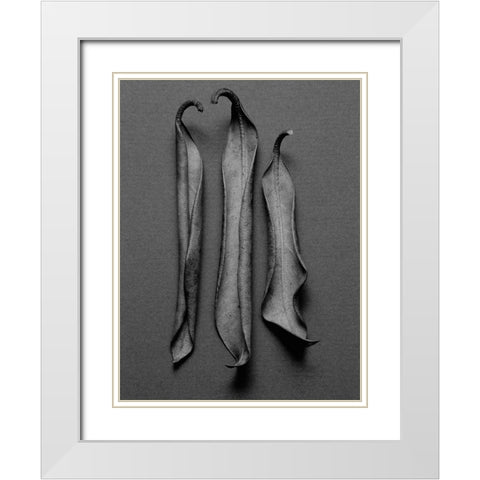 Mountain Leaves 1 White Modern Wood Framed Art Print with Double Matting by Rosenthal, Barry