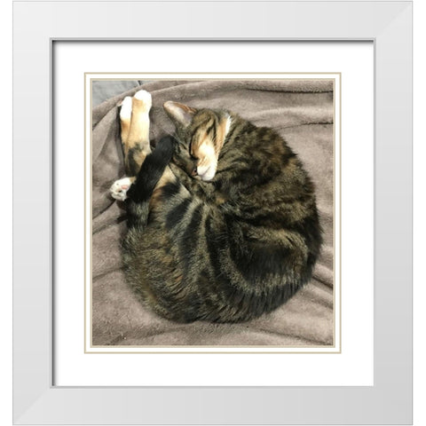 Leia Circle White Modern Wood Framed Art Print with Double Matting by Selby, Jill