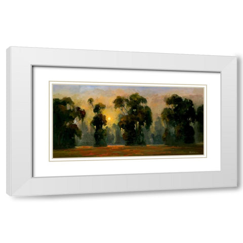 Sun Glint White Modern Wood Framed Art Print with Double Matting by Stevens, Allayn