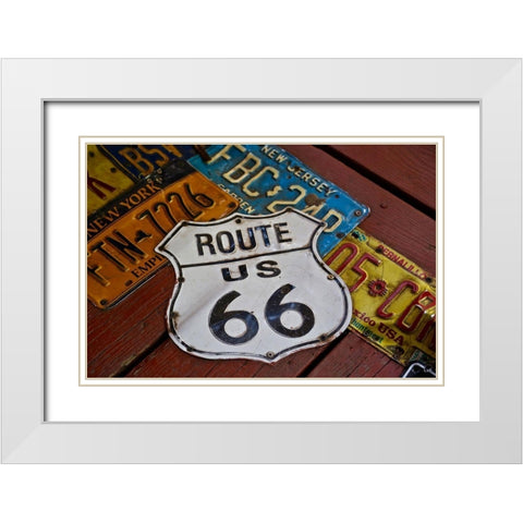 License Paltes White Modern Wood Framed Art Print with Double Matting by Vizvary, Susan