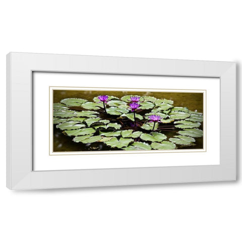 Purple Lily Pond White Modern Wood Framed Art Print with Double Matting by Vizvary, Susan