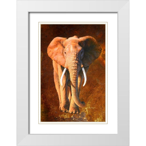 Elephant 02 White Modern Wood Framed Art Print with Double Matting by Chamard, Jean-Marc