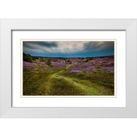 Landscape in purple White Modern Wood Framed Art Print with Double Matting by Henk van Gog