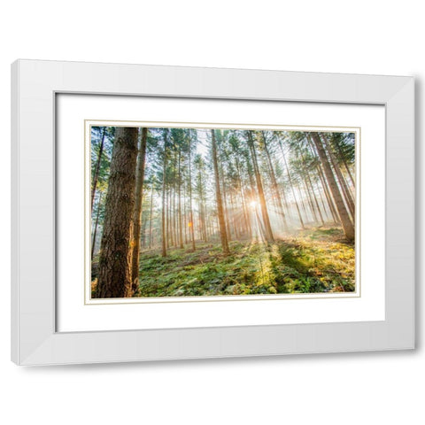 Sunflare 1 White Modern Wood Framed Art Print with Double Matting by Henk van Gog