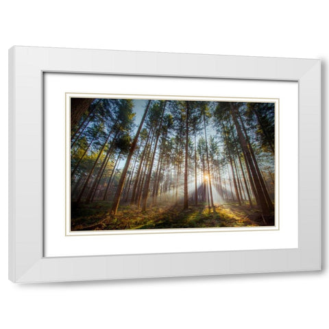 Sunflare 2 White Modern Wood Framed Art Print with Double Matting by Henk van Gog