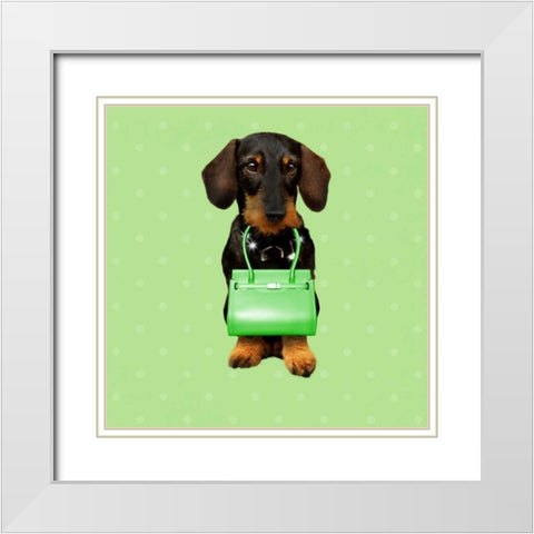 Teckel Green White Modern Wood Framed Art Print with Double Matting by Babette