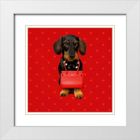 Teckel Red White Modern Wood Framed Art Print with Double Matting by Babette