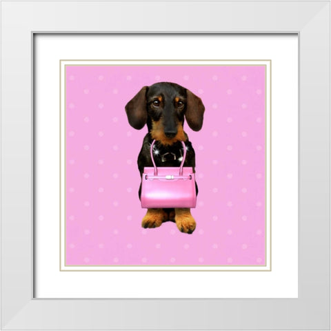 Teckel Rose White Modern Wood Framed Art Print with Double Matting by Babette