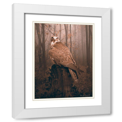 Falcon White Modern Wood Framed Art Print with Double Matting by Babette