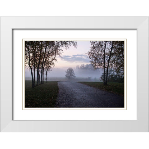 Foggy Morning II White Modern Wood Framed Art Print with Double Matting by Carlier, Dick