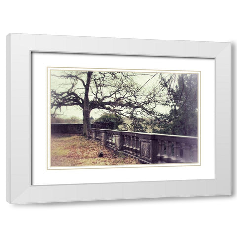 Lonely Tree White Modern Wood Framed Art Print with Double Matting by Carlier, Dick