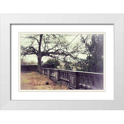 Lonely Tree White Modern Wood Framed Art Print with Double Matting by Carlier, Dick