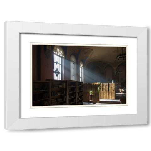 Library White Modern Wood Framed Art Print with Double Matting by Carlier, Dick