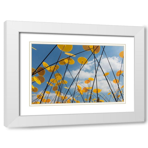 Yellow Disks I White Modern Wood Framed Art Print with Double Matting by Carlier, Dick