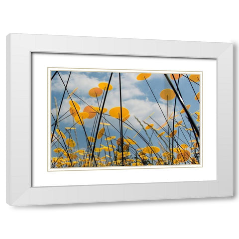 Yellow Disks II White Modern Wood Framed Art Print with Double Matting by Carlier, Dick