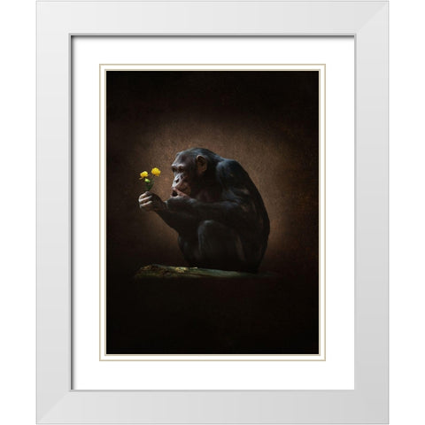 Aap Met Bloem White Modern Wood Framed Art Print with Double Matting by Babette