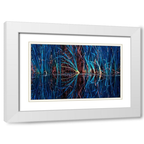 Blue Grass White Modern Wood Framed Art Print with Double Matting by Kostka, Vladimir