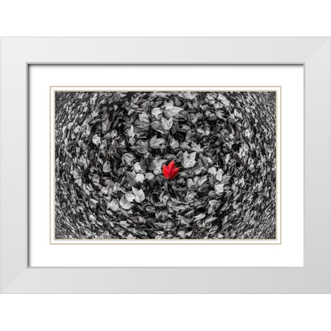Red Leaf White Modern Wood Framed Art Print with Double Matting by Kostka, Vladimir