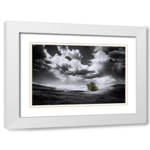 The Green Tree White Modern Wood Framed Art Print with Double Matting by Kostka, Vladimir