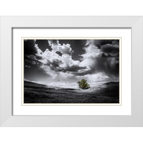 The Green Tree White Modern Wood Framed Art Print with Double Matting by Kostka, Vladimir