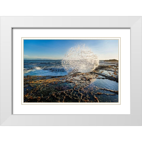 Splash II White Modern Wood Framed Art Print with Double Matting by Kostka, Vladimir
