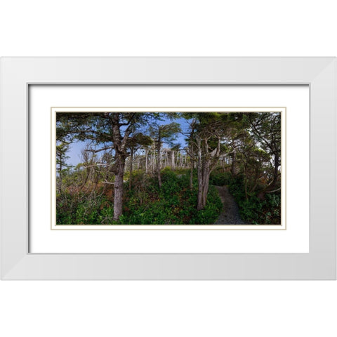 Woods III White Modern Wood Framed Art Print with Double Matting by Kostka, Vladimir