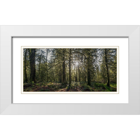 Woods IV White Modern Wood Framed Art Print with Double Matting by Kostka, Vladimir