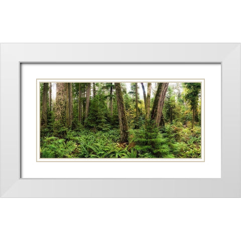 Woods V White Modern Wood Framed Art Print with Double Matting by Kostka, Vladimir